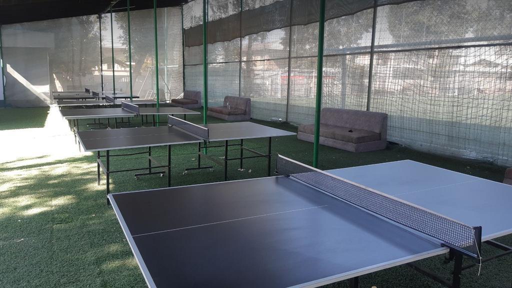 Panda tennis (школа 157) — фото 1