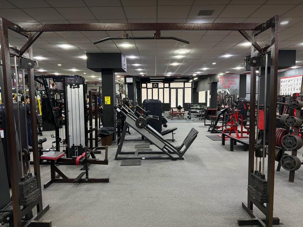Freedom Gym — фото 14