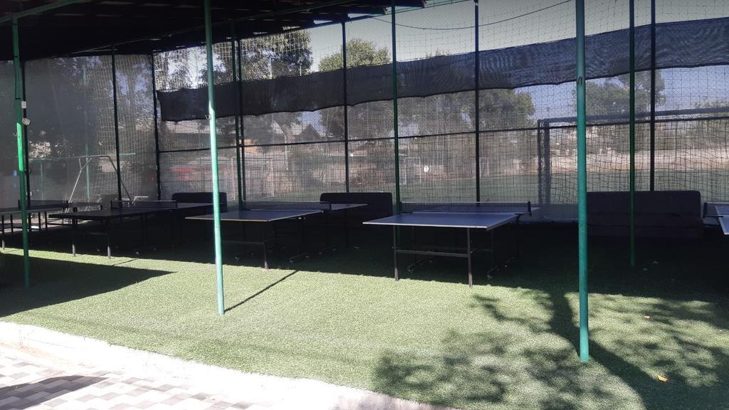 Panda tennis (школа 157) — фото 5