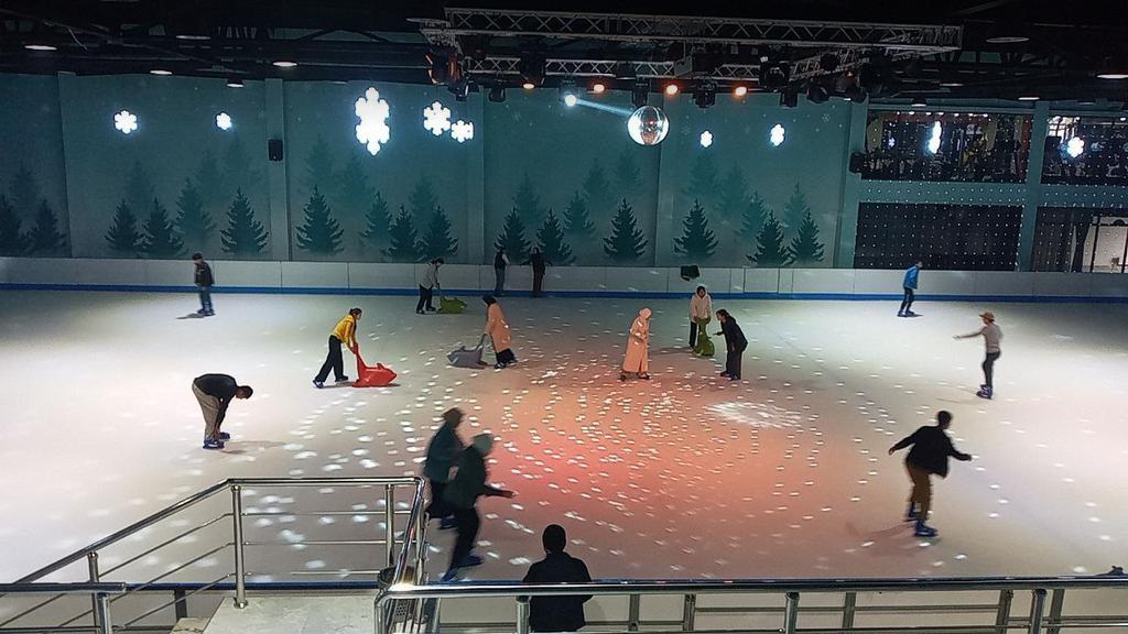 ICE RINK — фото 5