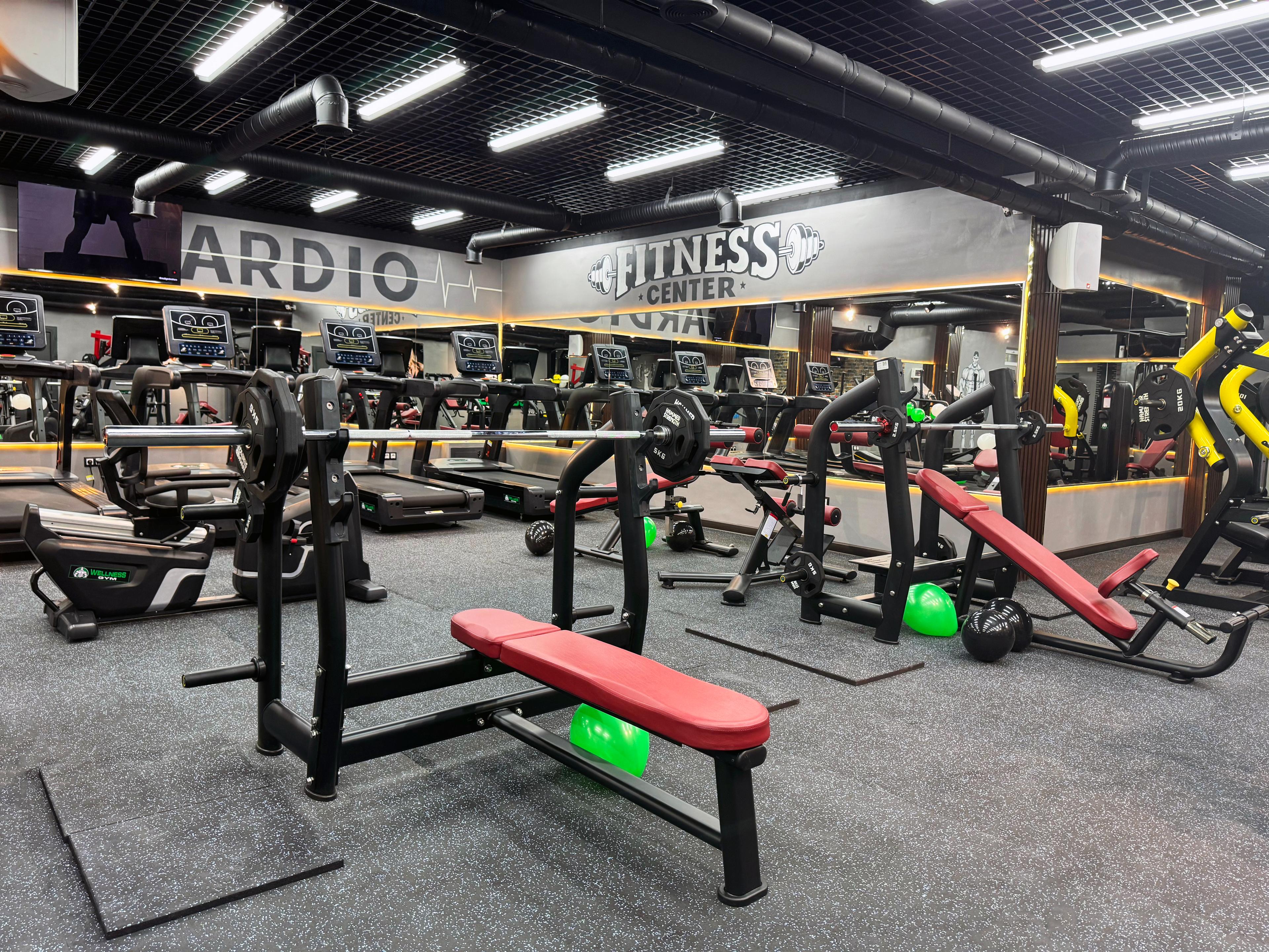 Wellness Gym studio image