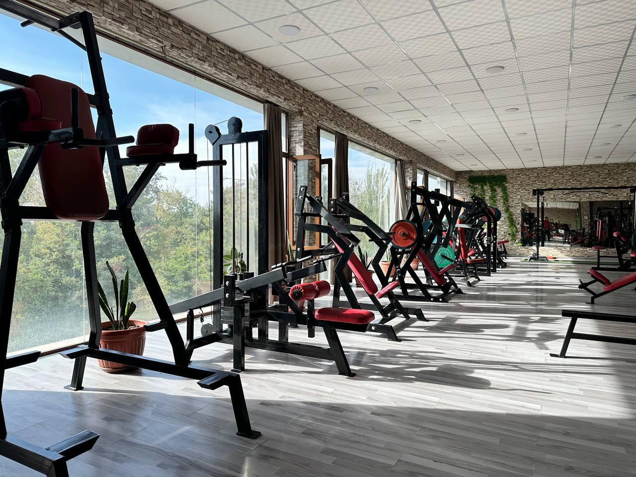 OLYMP studio image