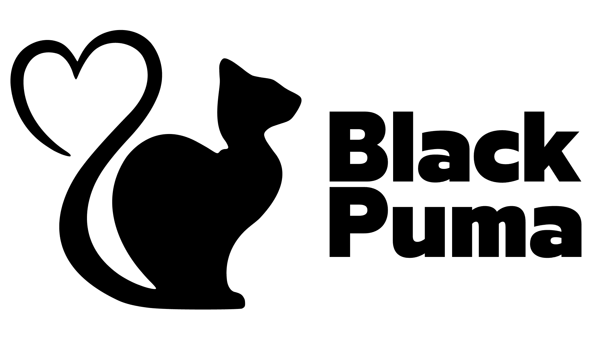 BLACK PUMA studio image