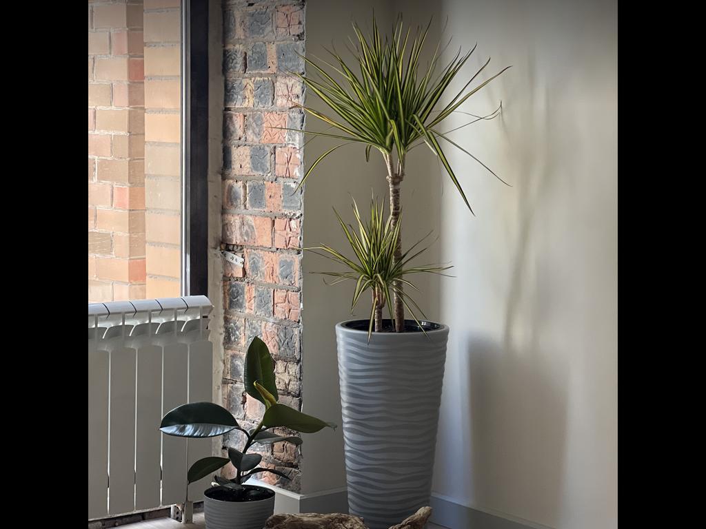 nity.kz — фото 13