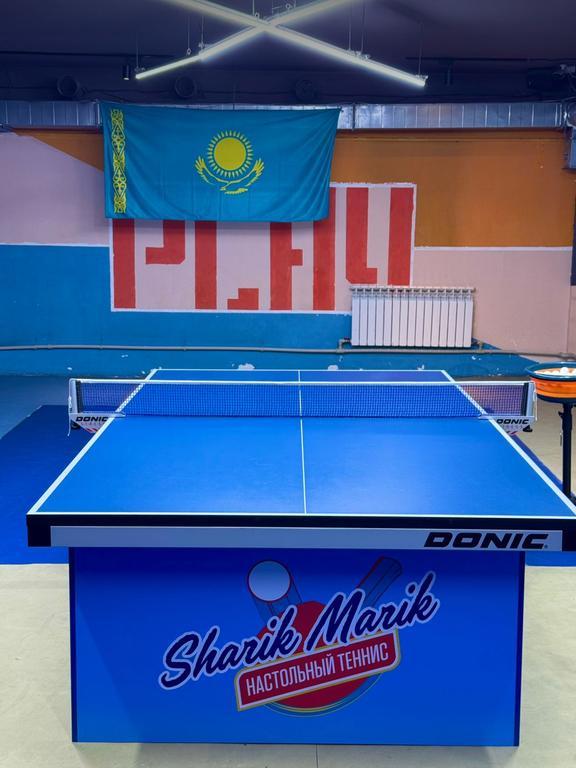 Sharik-Marik клуб настольного тенниса — фото 2