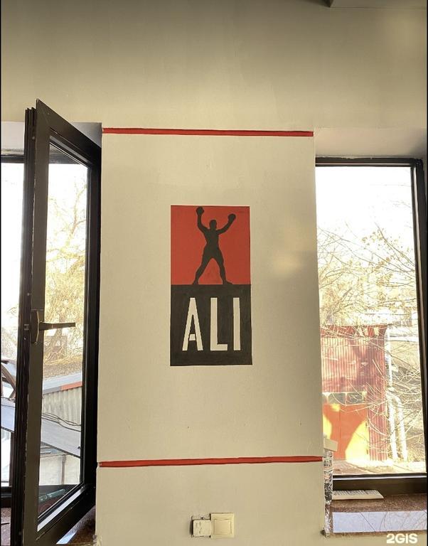 ALI fitness & gym — фото 8