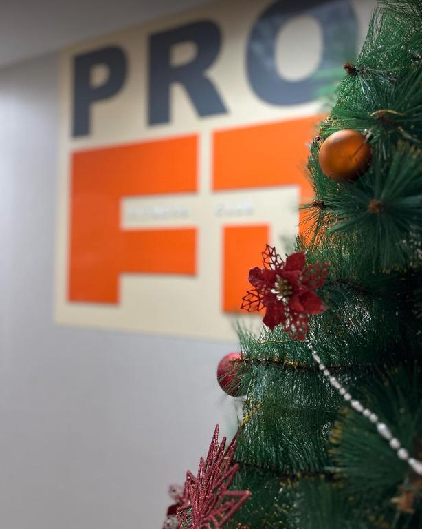 Profit — фото 1