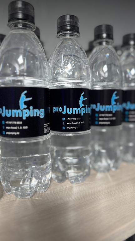 ProJumping.kz — фото 27