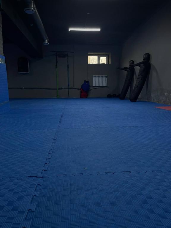 PitBull — фото 4