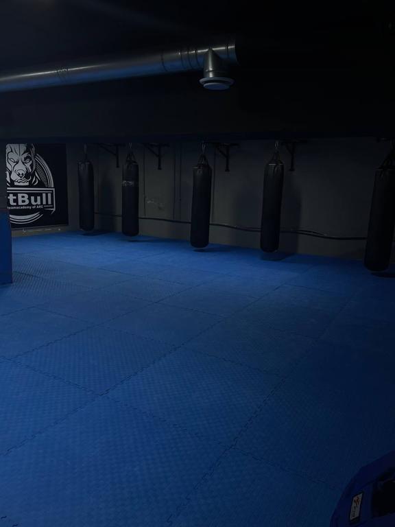 PitBull — фото 2