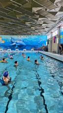 Бассейн BAQSY