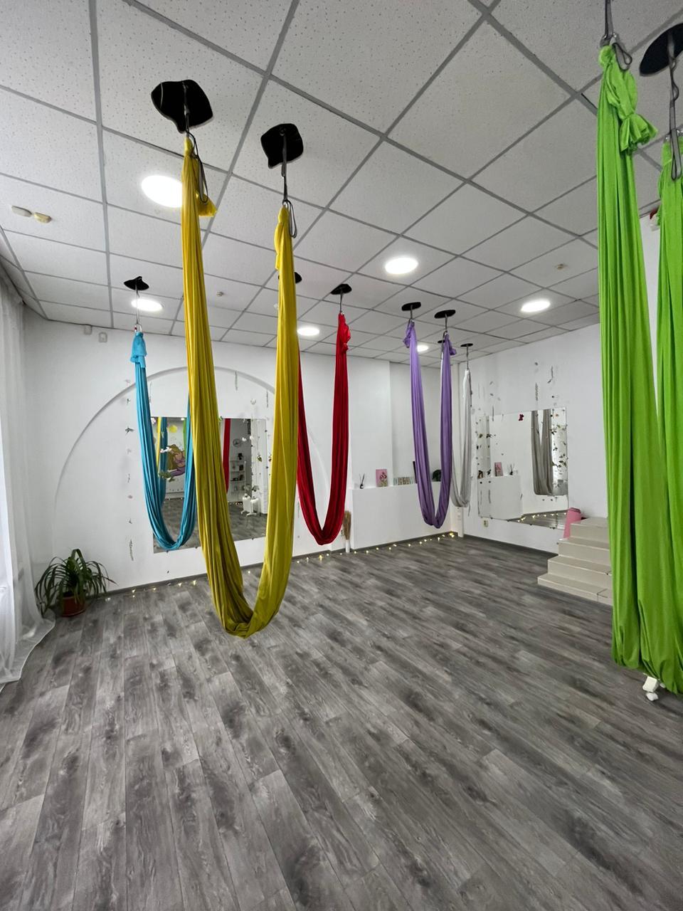 Студия женского фитнеса и йоги в гамаках "Гармония" в Сарани studio image