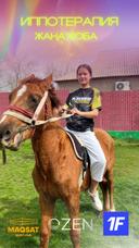 MAQSAT SPORT CLUB | Конные прогулки