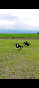 Конный клуб HASSAQ