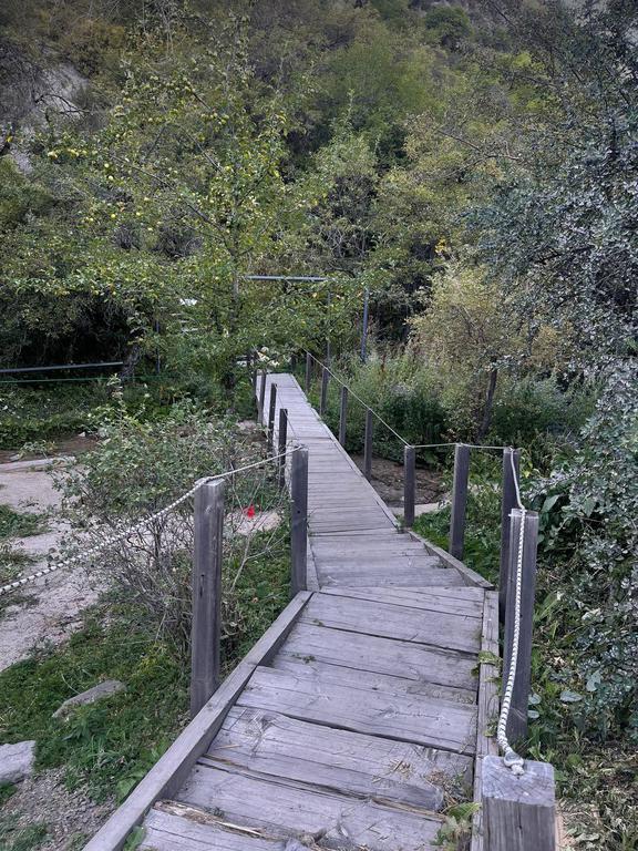 Oi-Qaragai — фото 13