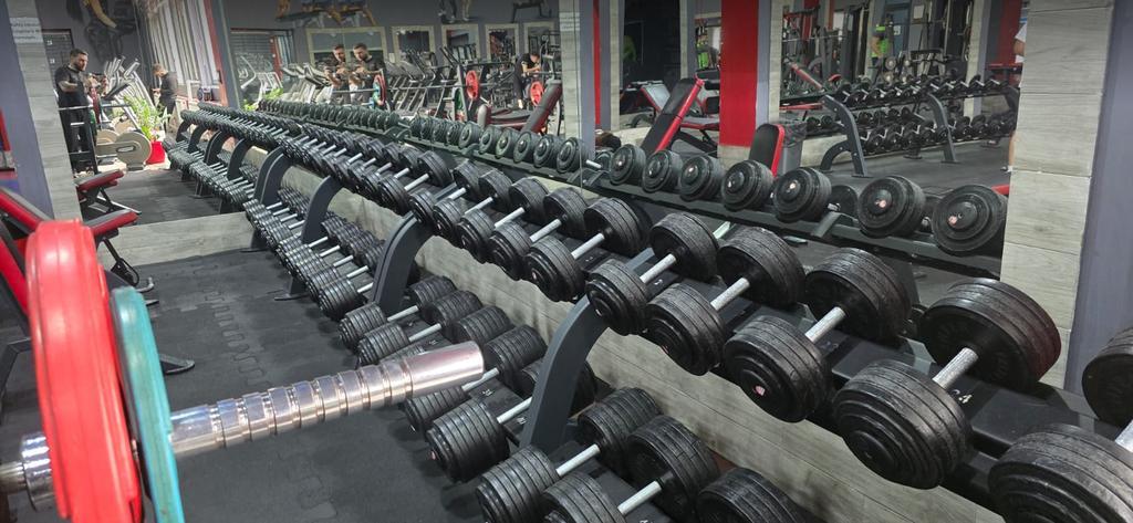 Golden Gym Fitness Center — фото 7