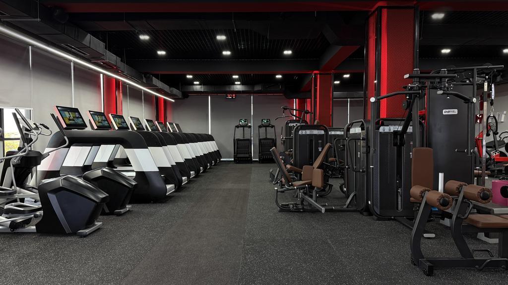 Men's Fit & Lady Fit — фото 10