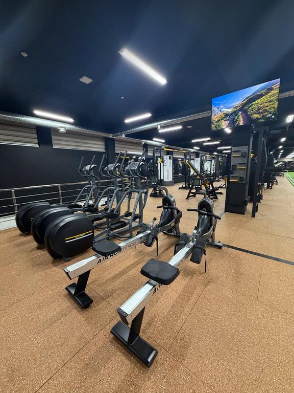 ALPHA SPORT SERGELI FIT — фото 4