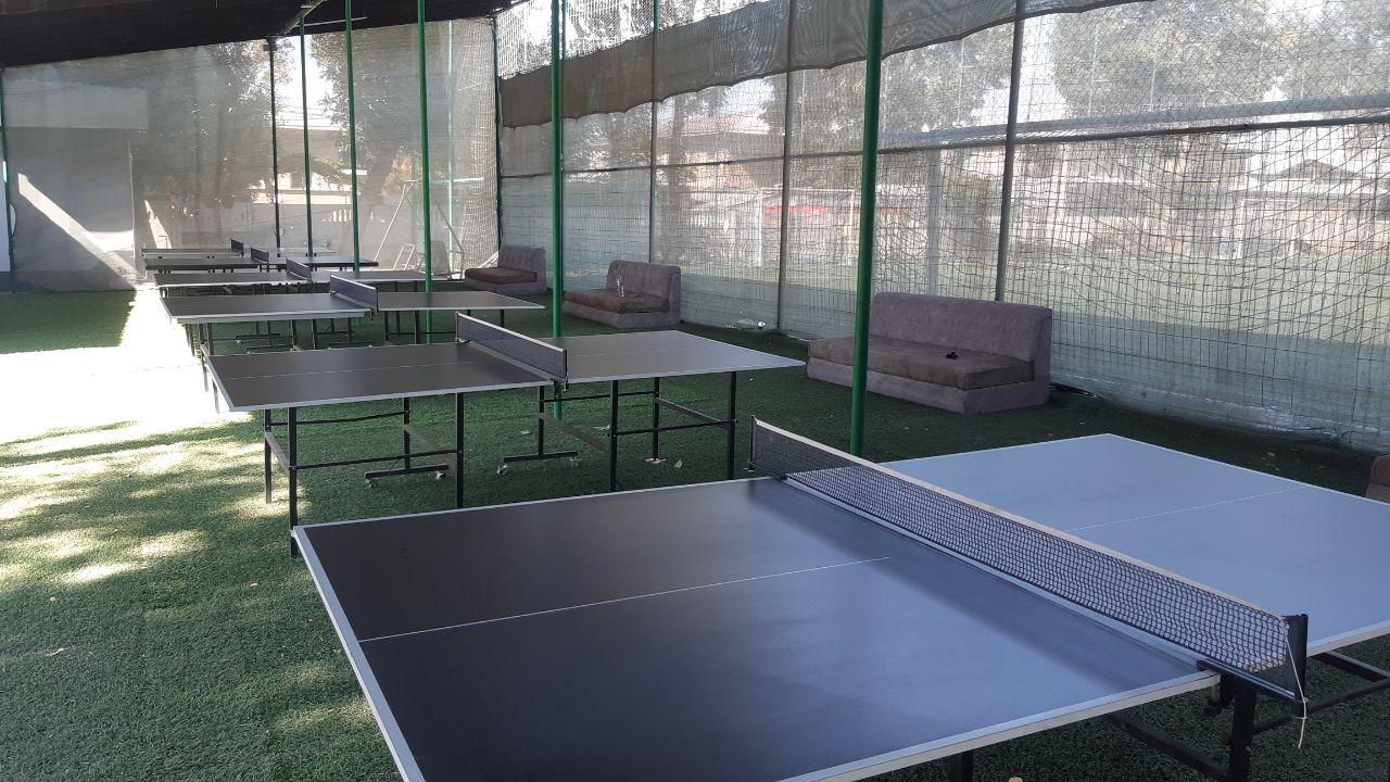 Panda tennis (школа 157) studio image