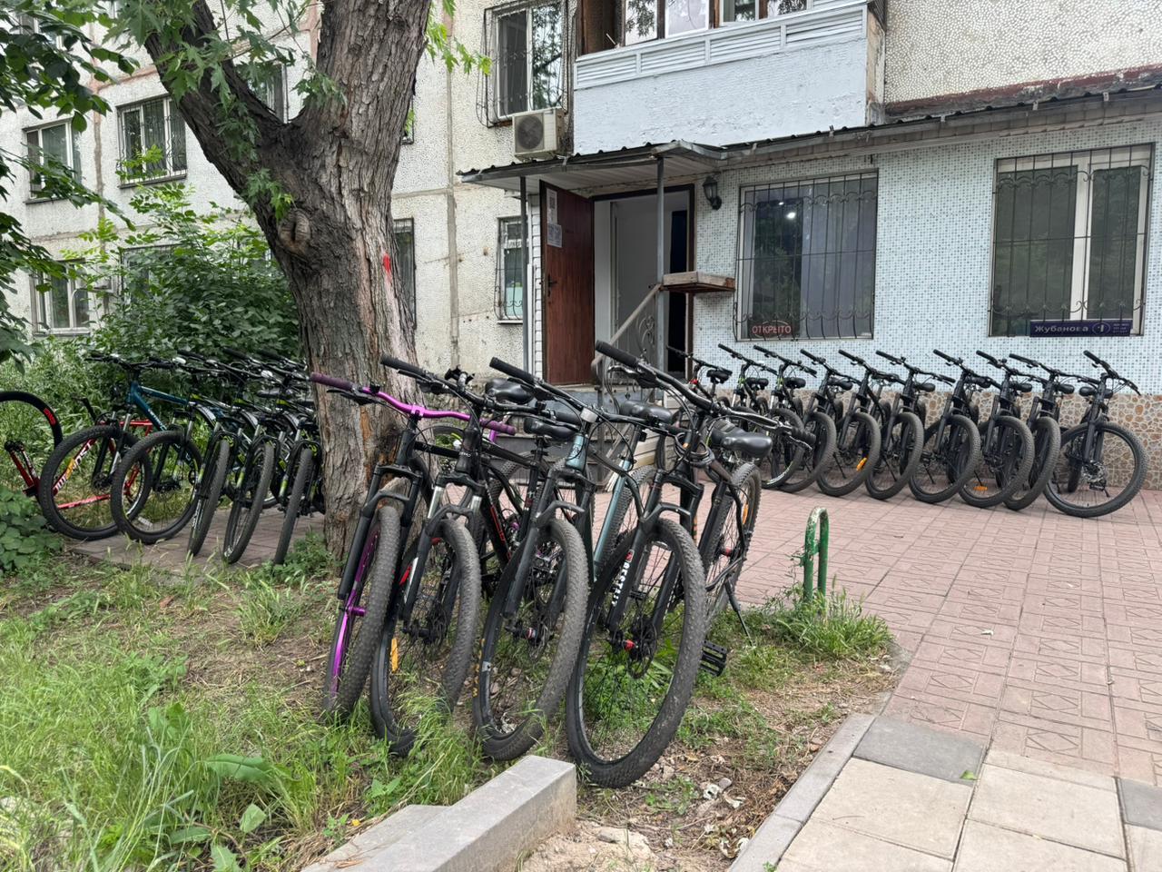 VELOTREK Zhubanova studio image
