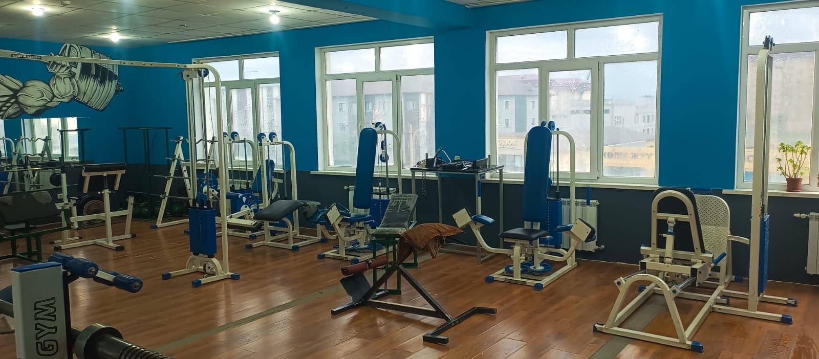 IRON Fitness gym studio image